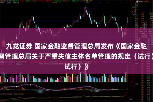 九龙证券 国家金融监督管理总局发布《国家金融监督管理总局关于严重失信主体名单管理的规定（试行）》