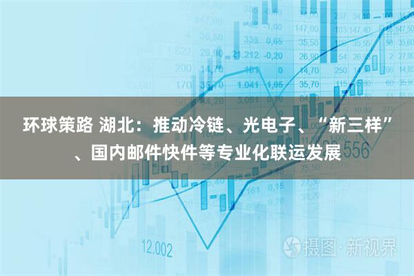 环球策路 湖北：推动冷链、光电子、“新三样”、国内邮件快件等专业化联运发展